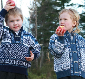 Borgund Cardigan - Navy blue & White